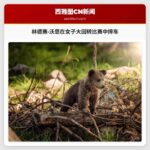 林德赛·沃恩在女子大回转比赛中摔车，被直升机撤离