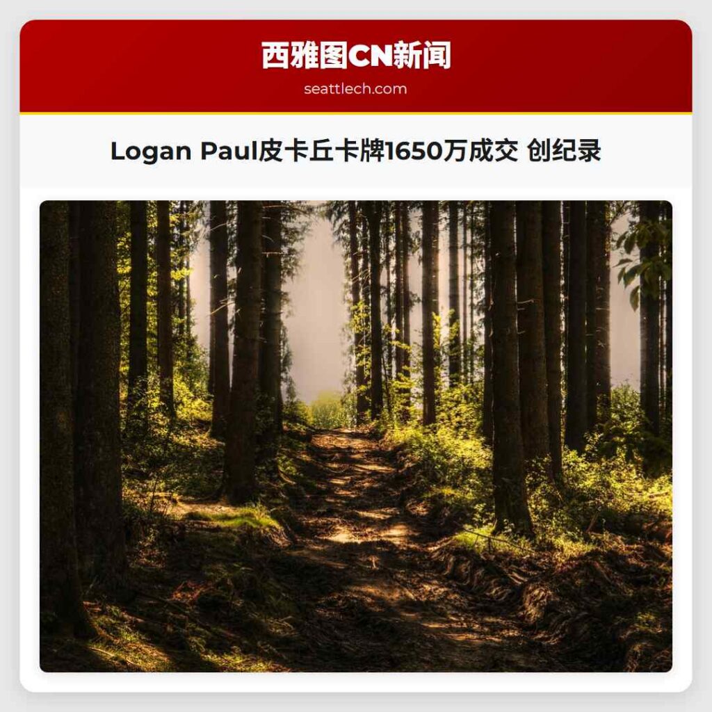 Logan Paul皮卡丘卡牌1650万成交 创纪录
