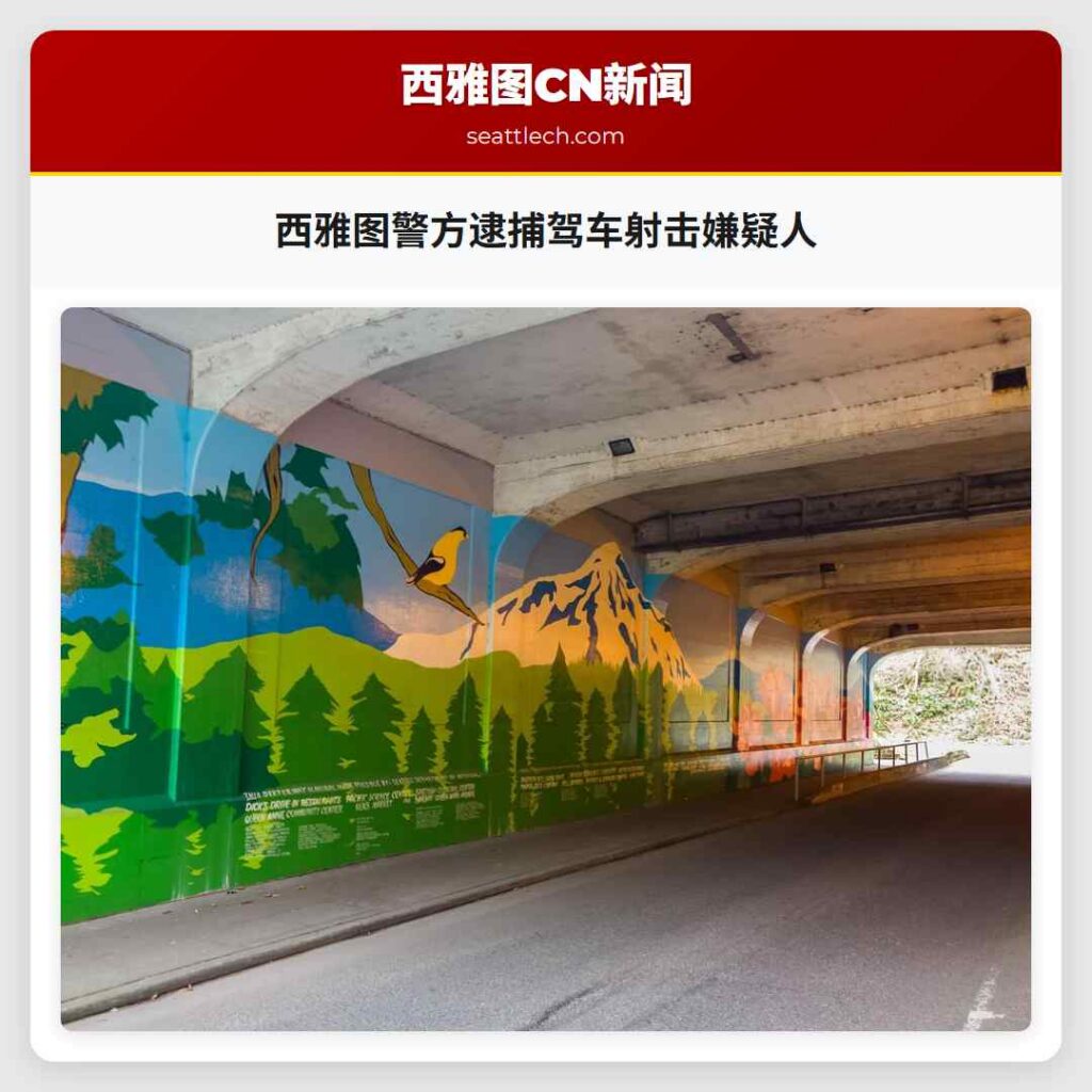 西雅图警方逮捕驾车射击嫌疑人