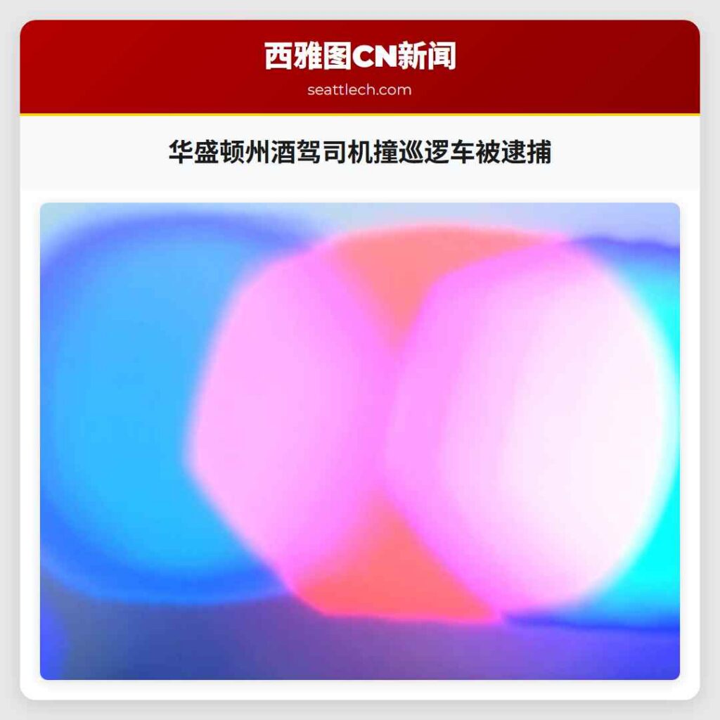 华盛顿州酒驾司机撞巡逻车被逮捕