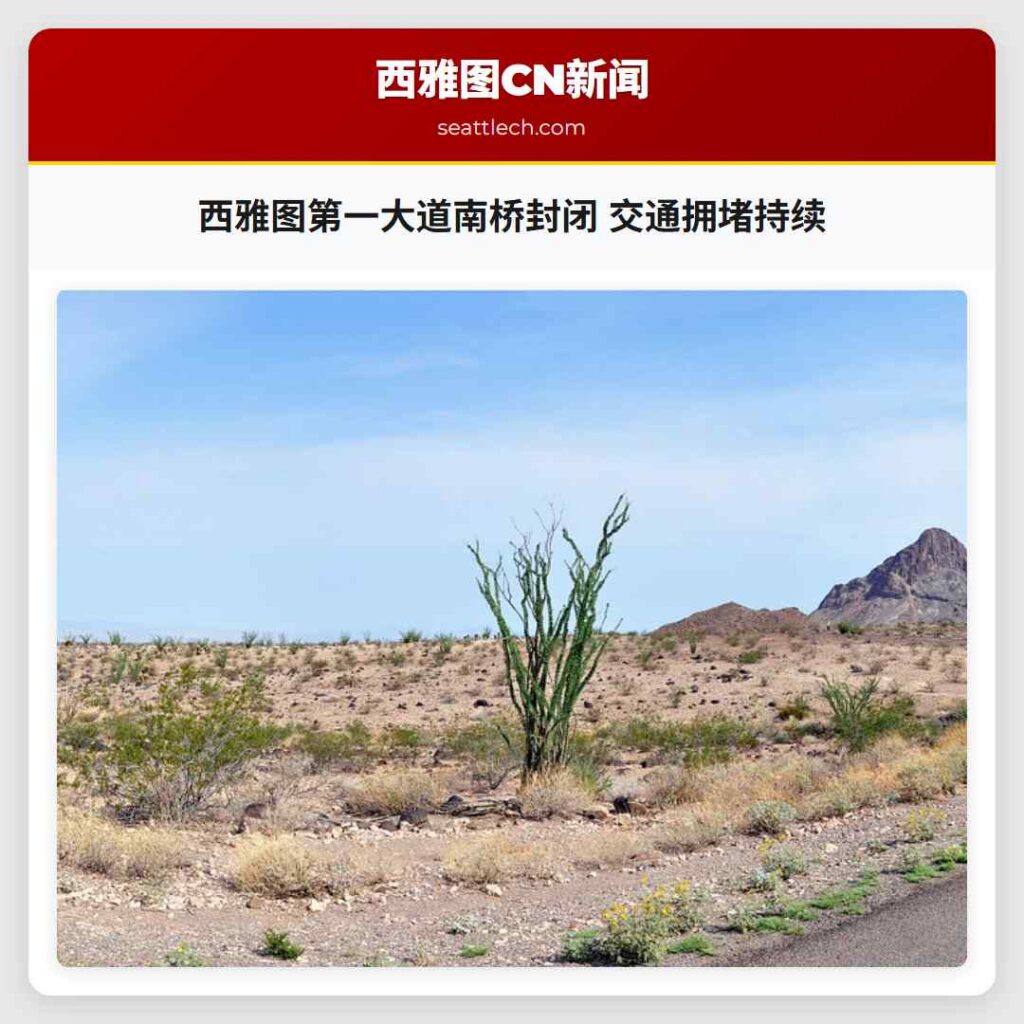 西雅图第一大道南桥封闭 交通拥堵持续