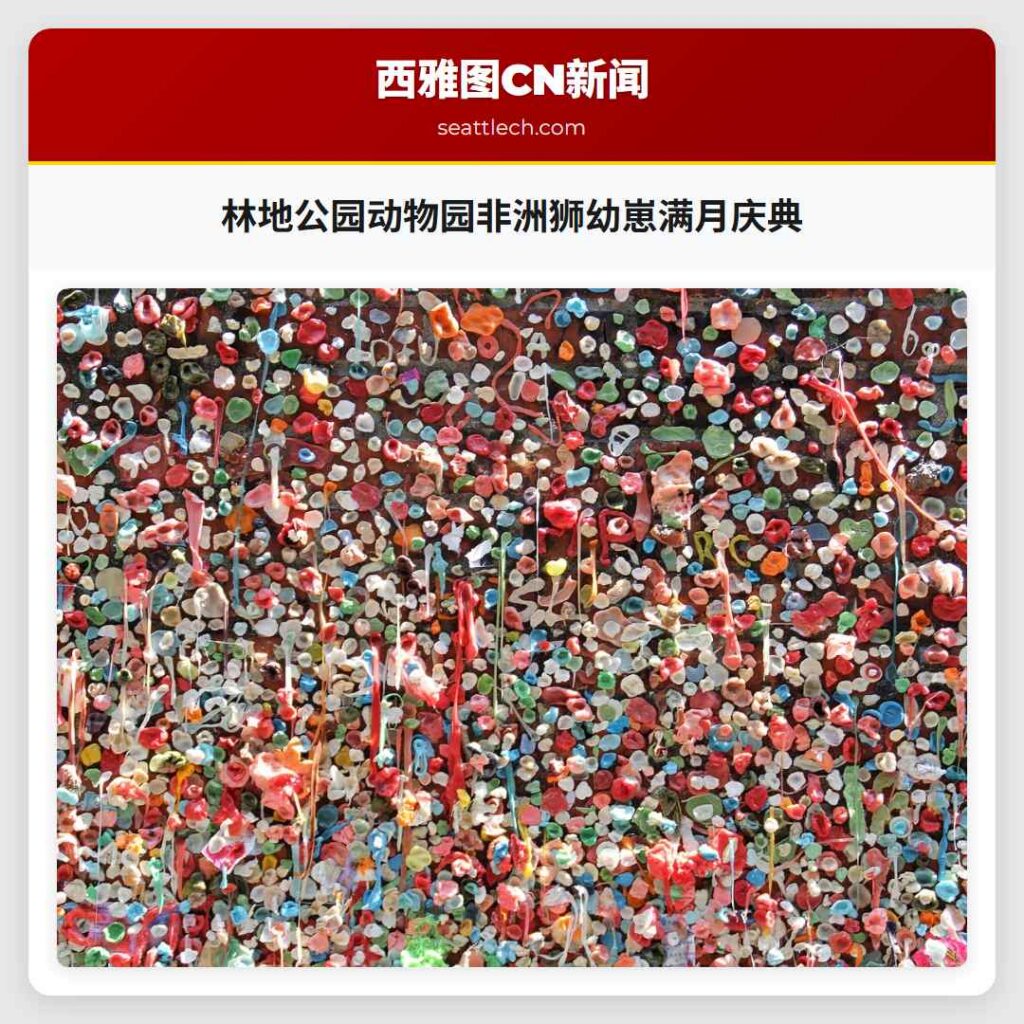 林地公园动物园非洲狮幼崽满月庆典