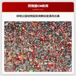 林地公园动物园非洲狮幼崽满月庆典圆满举行