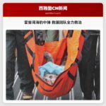 霍普湾海峡海豹中弹事件牵动救援团队 志愿者接力守护海洋生灵