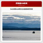 食品安全警示：Aldi门店9400磅肉丸因含金属杂质被紧急召回