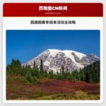 西雅图春季周末活动全攻略