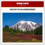 警察逮捕与格雷汉餐厅枪击案有关的嫌疑人