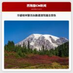 华盛顿州巡逻警员执勤途中遭酒驾司机撞击受伤事件