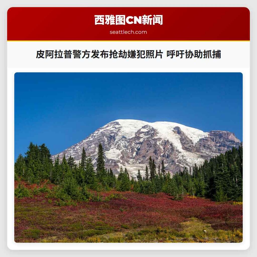 皮阿拉普警方发布抢劫嫌犯照片 呼吁协助抓捕