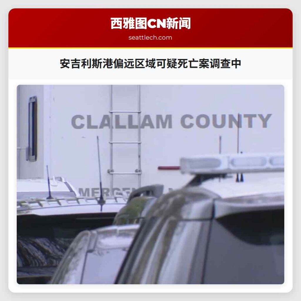 安吉利斯港偏远区域可疑死亡案调查中