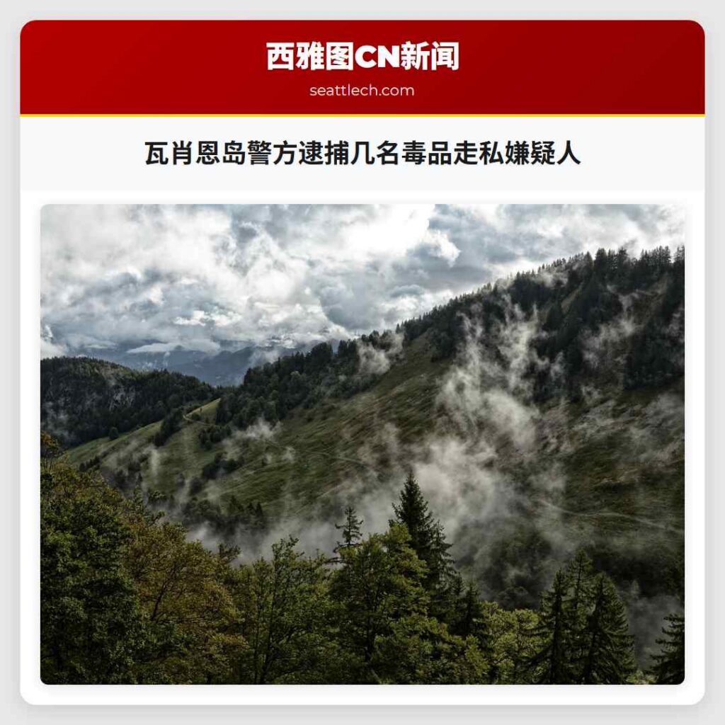 瓦肖恩岛警方逮捕几名毒品走私嫌疑人