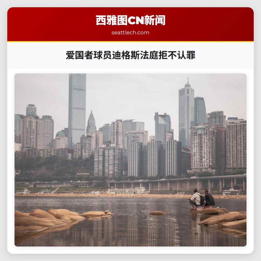 爱国者球员迪格斯法庭拒不认罪