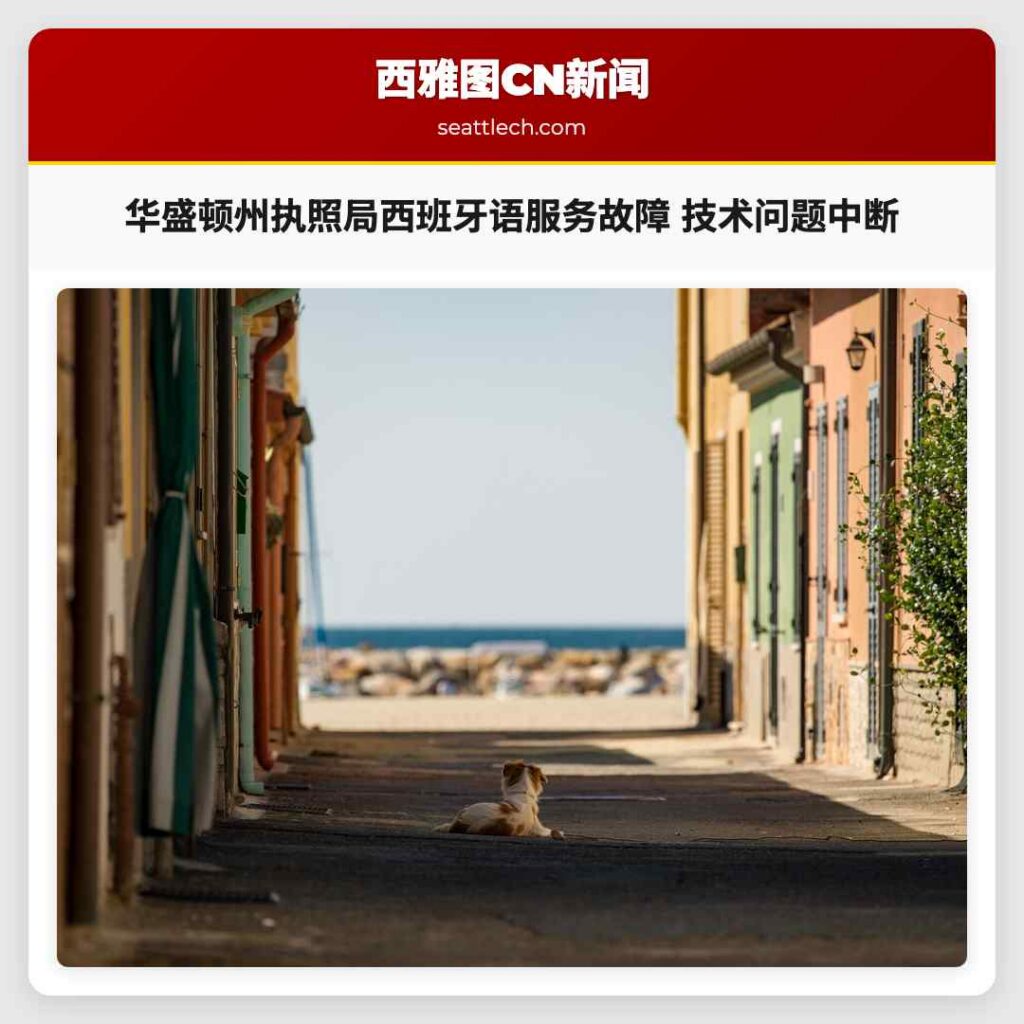 华盛顿州执照局西班牙语服务故障 技术问题中断