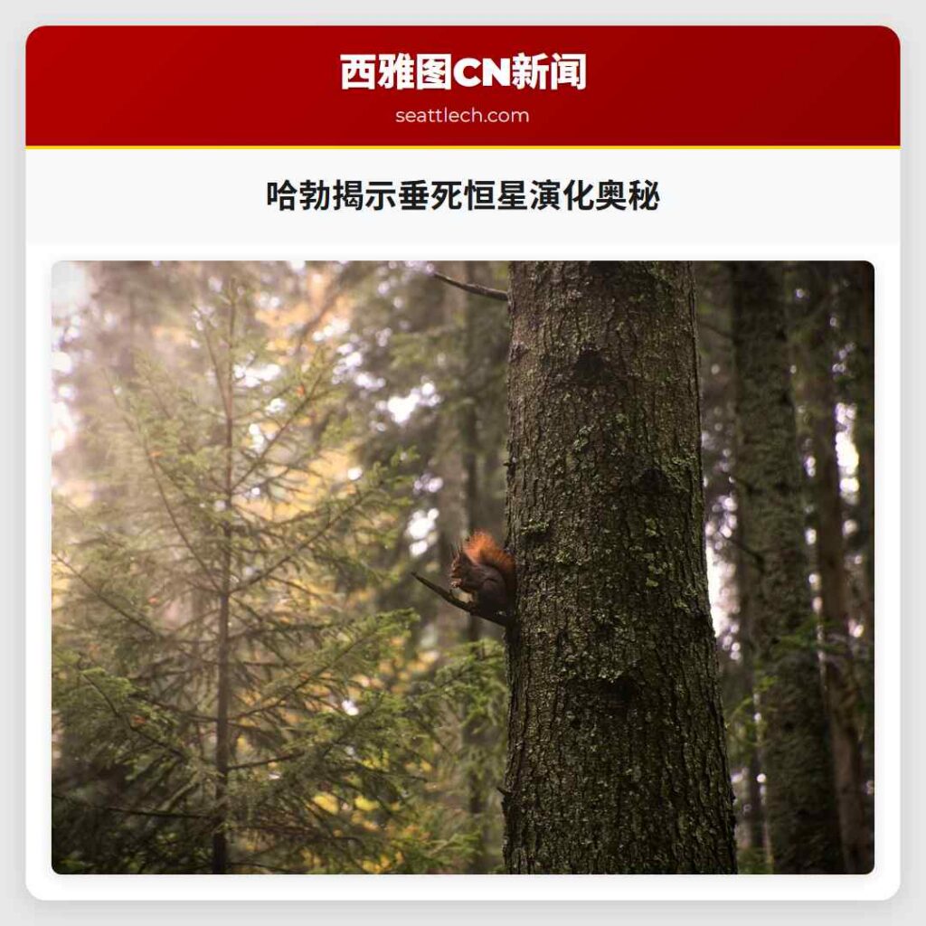 哈勃揭示垂死恒星演化奥秘