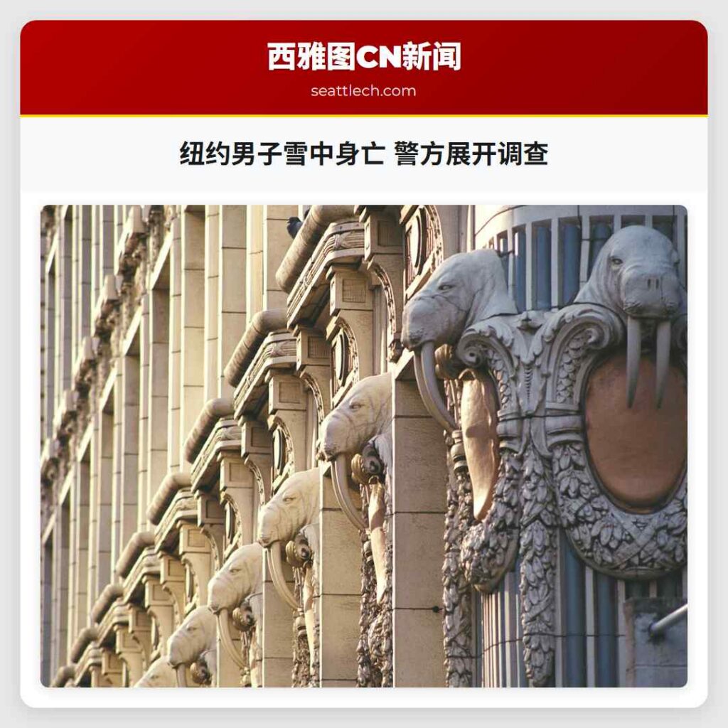 纽约男子雪中身亡 警方展开调查