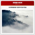 冬季寒潮突袭 专家呼吁及时防护花园