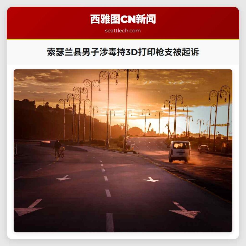 索瑟兰县男子涉毒持3D打印枪支被起诉