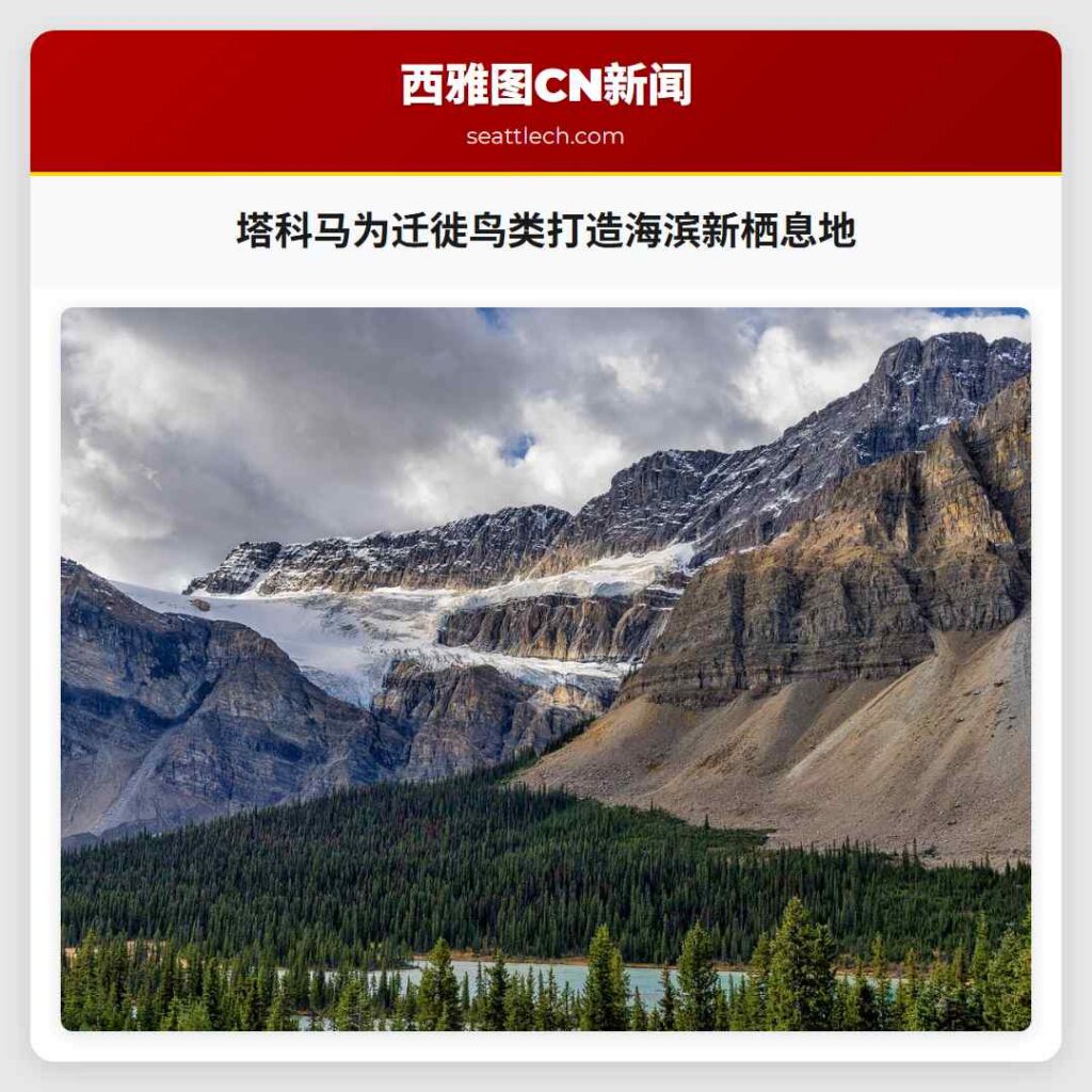 塔科马为迁徙鸟类打造海滨新栖息地