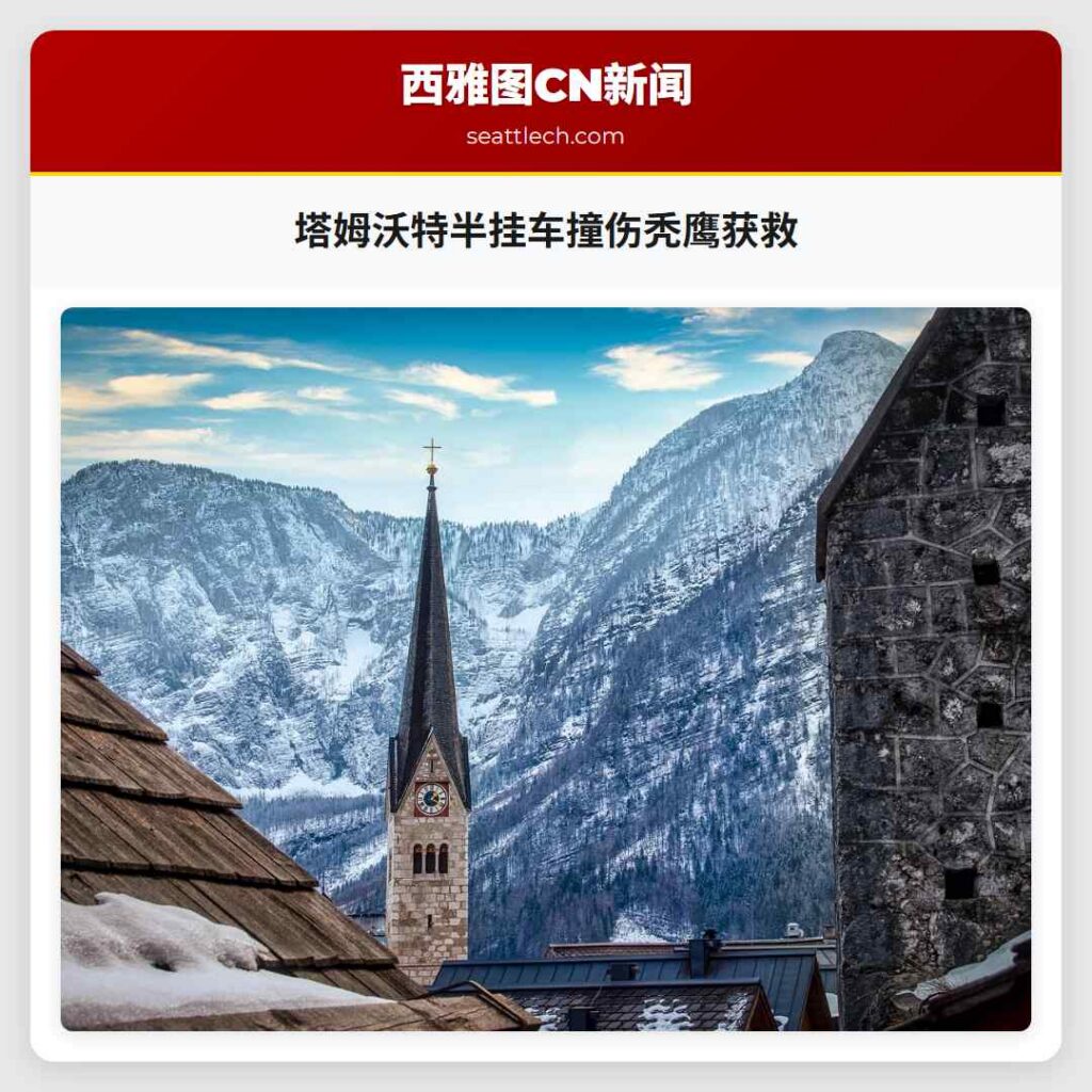 塔姆沃特半挂车撞伤秃鹰获救