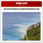 职业高尔夫球手安德里亚·帕万电梯井坠落伤势严重 退出南非公开赛