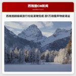 西雅图超级碗游行后垃圾清理工作完成 超1万磅废弃物被清运