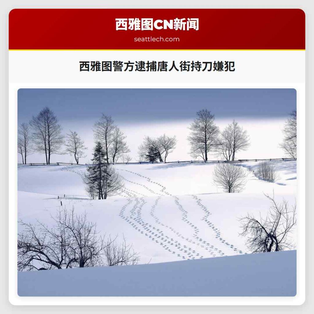 西雅图警方逮捕唐人街持刀嫌犯