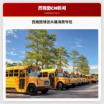 数万球迷涌向西雅图市中心 共襄海鹰队夺冠盛况