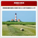 西雅图起重机撞电力线路引发大火 操作员被困近三小时