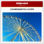 跨国电信诈骗案：牙买加嫌犯骗温哥华老人55万美元获刑