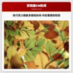 提醒市民：热巧克力跑活动致周末多路段封闭