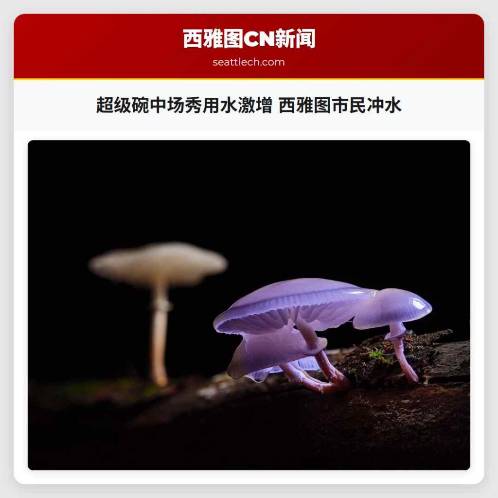 超级碗中场秀用水激增 西雅图市民冲水