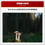 2026年格莱美奖：Bad Bunny创造历史