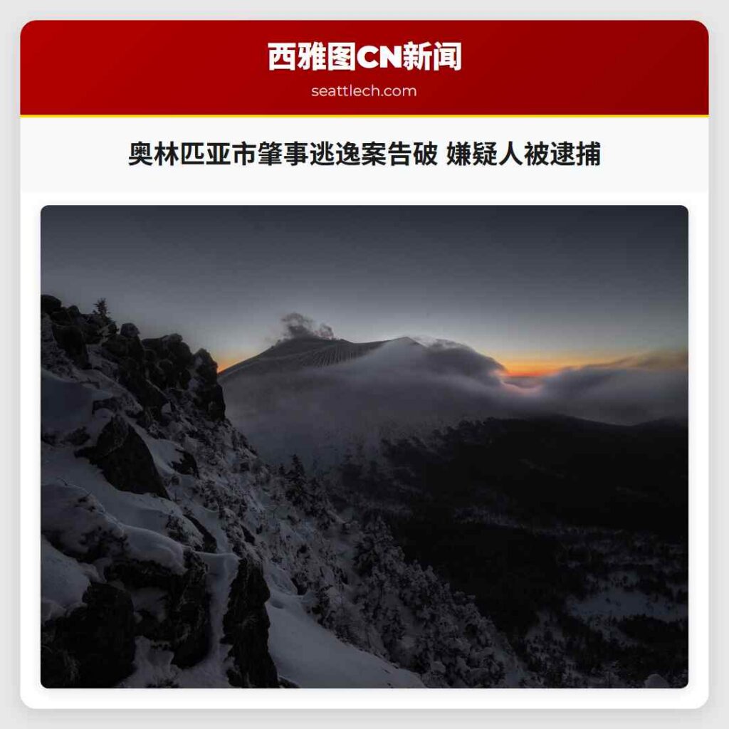 奥林匹亚市肇事逃逸案告破 嫌疑人被逮捕
