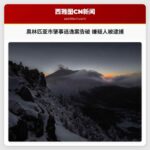 奥林匹亚市肇事逃逸案告破 嫌疑人被正式逮捕