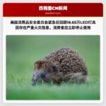 紧急召回警示：超18.65万LED灯具因火灾隐患被全面召回