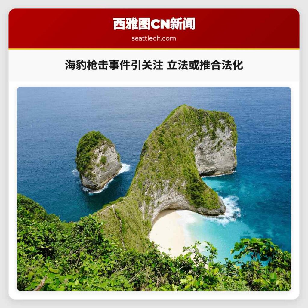 海豹枪击事件引关注 立法或推合法化