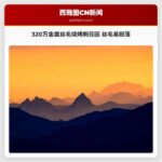 320万把金属丝毛烧烤刷遭召回 金属丝毛易脱落致误食风险