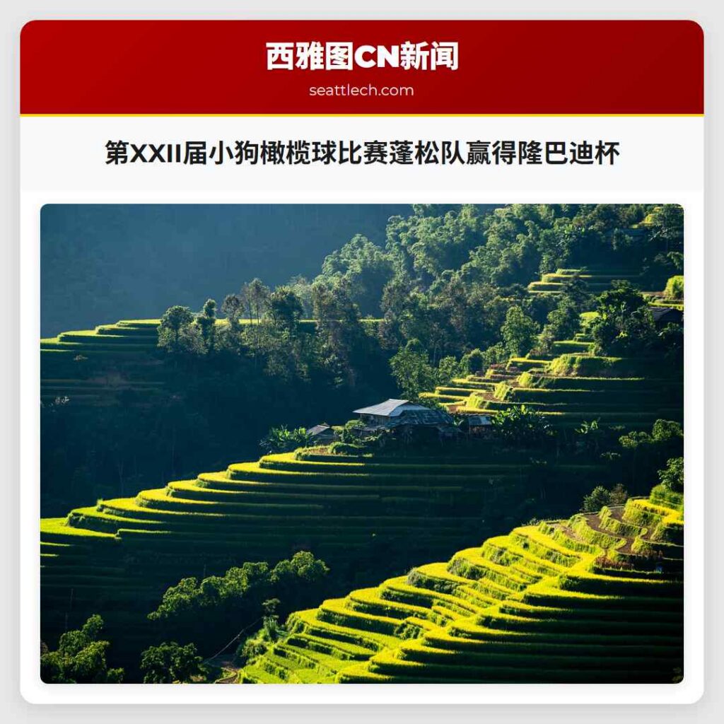 第XXII届小狗橄榄球比赛蓬松队赢得隆巴迪杯