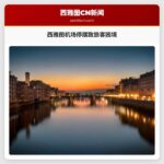 旅客应对西雅图机场政府停摆冲击：多重挑战下的出行困境