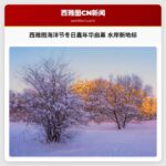 西雅图海洋节冬日嘉年华启幕：冰雪奇缘邂逅水岸新地标