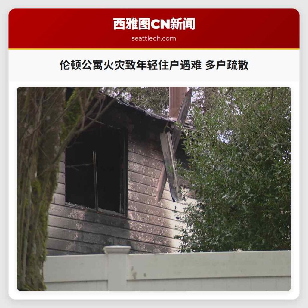 伦顿公寓火灾致年轻住户遇难 多户疏散