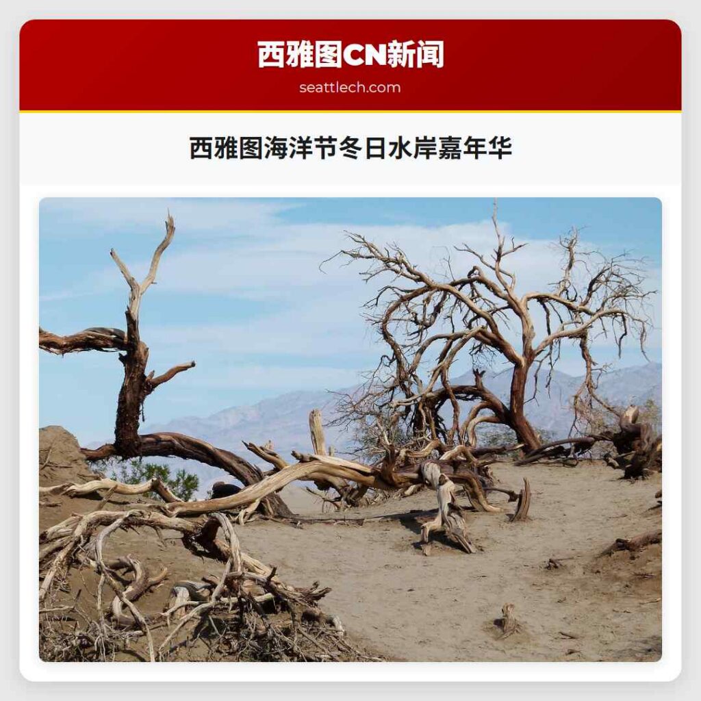 西雅图海洋节冬日水岸嘉年华