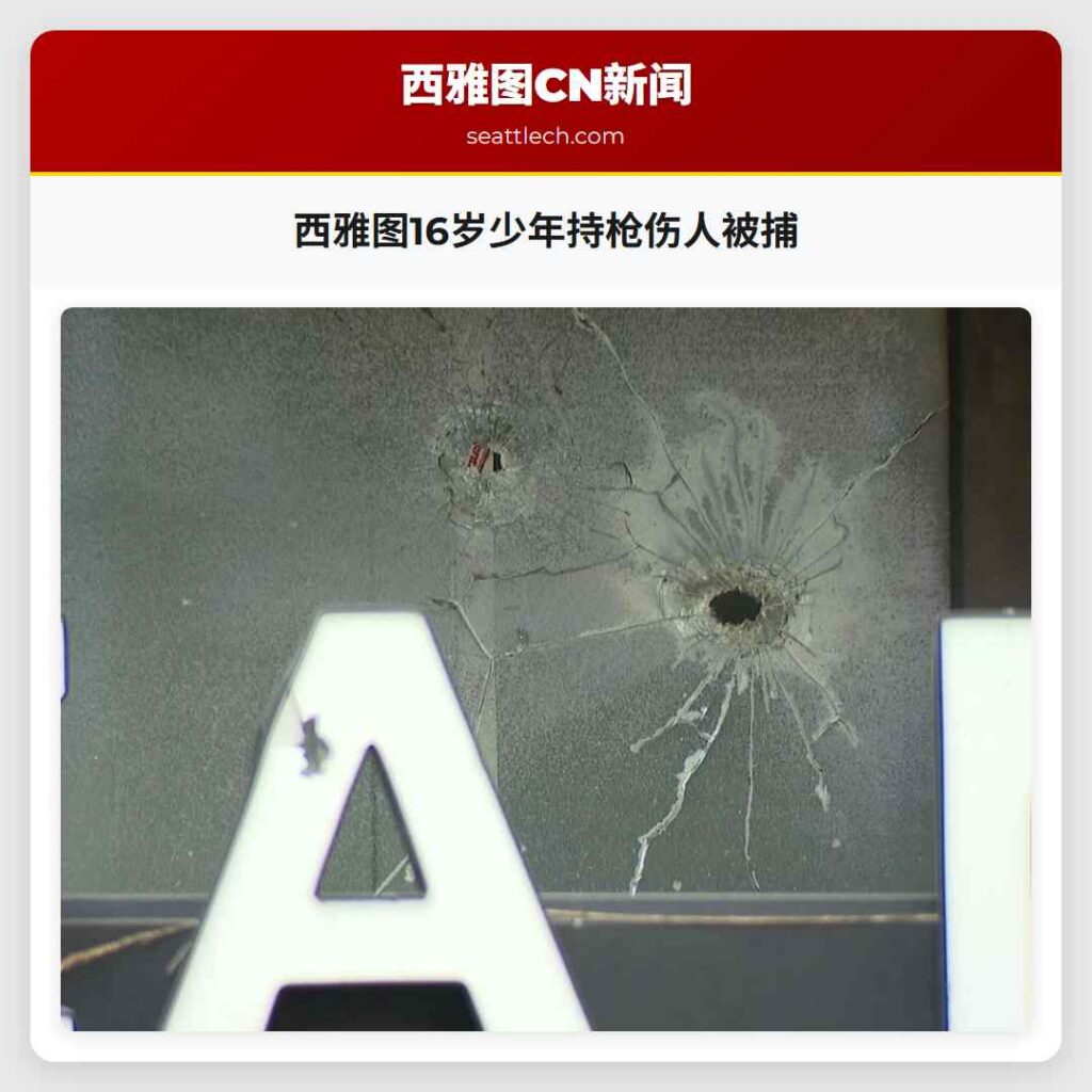 西雅图16岁少年持枪伤人被捕