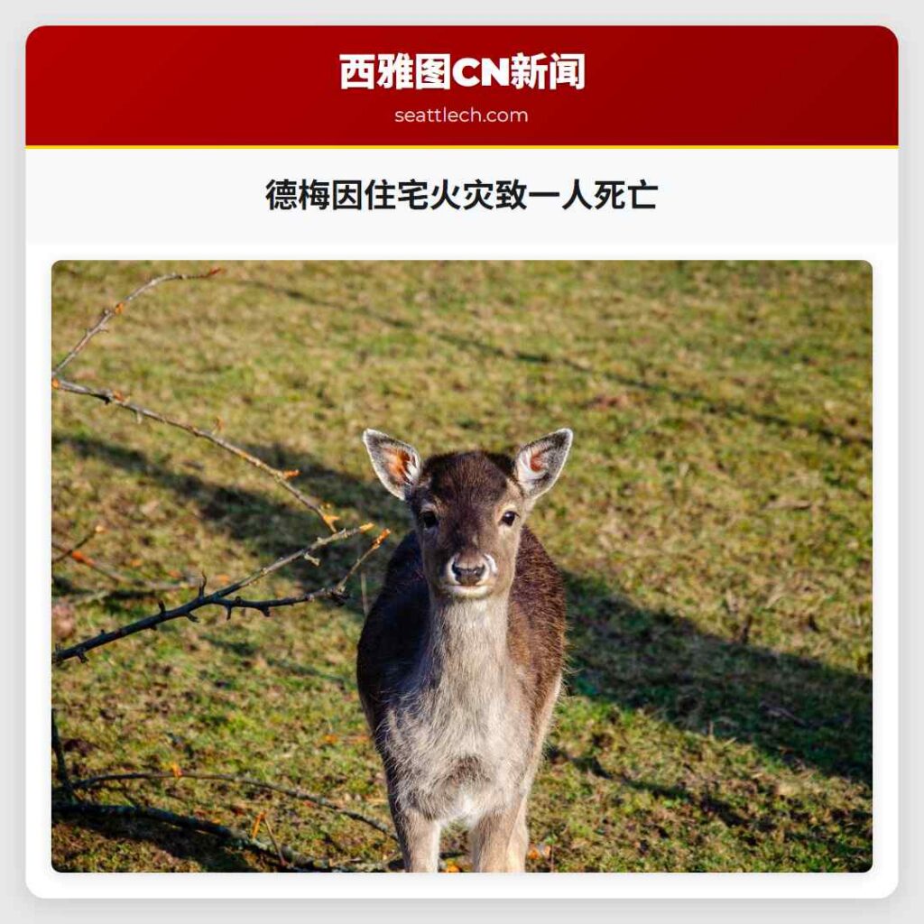 德梅因住宅火灾致一人死亡