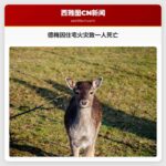 德梅因一起住宅火灾致一人死亡