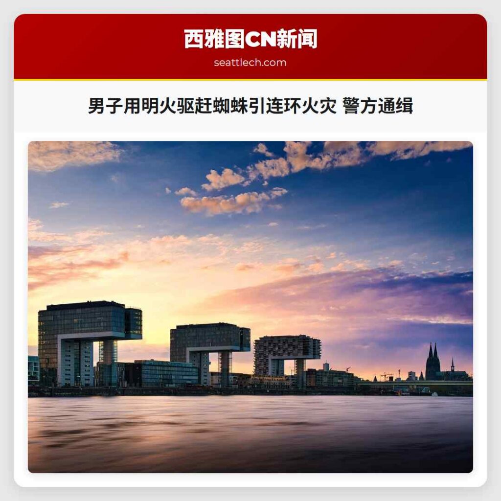 男子用明火驱赶蜘蛛引连环火灾 警方通缉