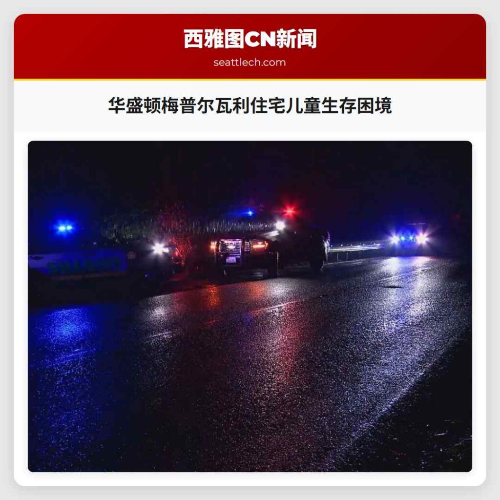 华盛顿梅普尔瓦利住宅儿童生存困境