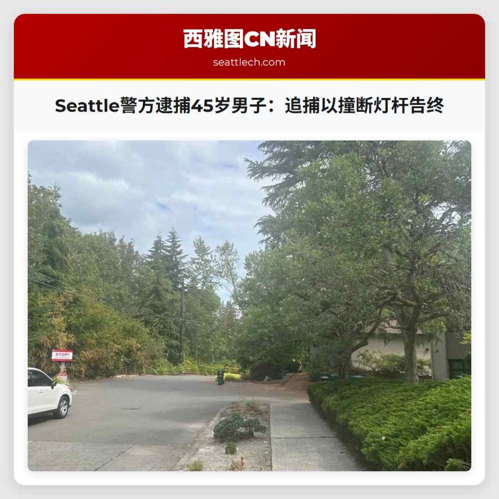 Seattle警方逮捕45岁男子：追捕以撞断灯杆告终