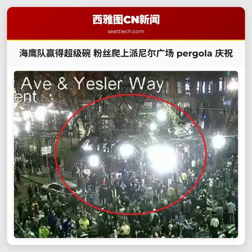 海鹰队赢得超级碗 粉丝爬上派尼尔广场 pergola 庆祝