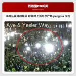 西雅图海鹰队赢得超级碗后，球迷们爬上派尼尔广场的 pergola 庆祝